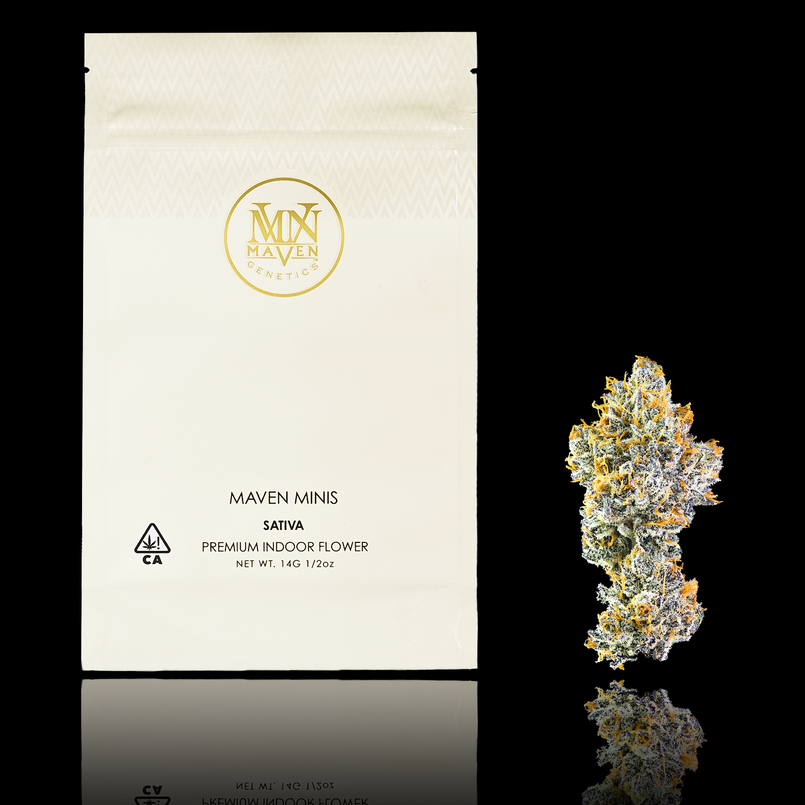 Maven Genetics: Orange Bellini