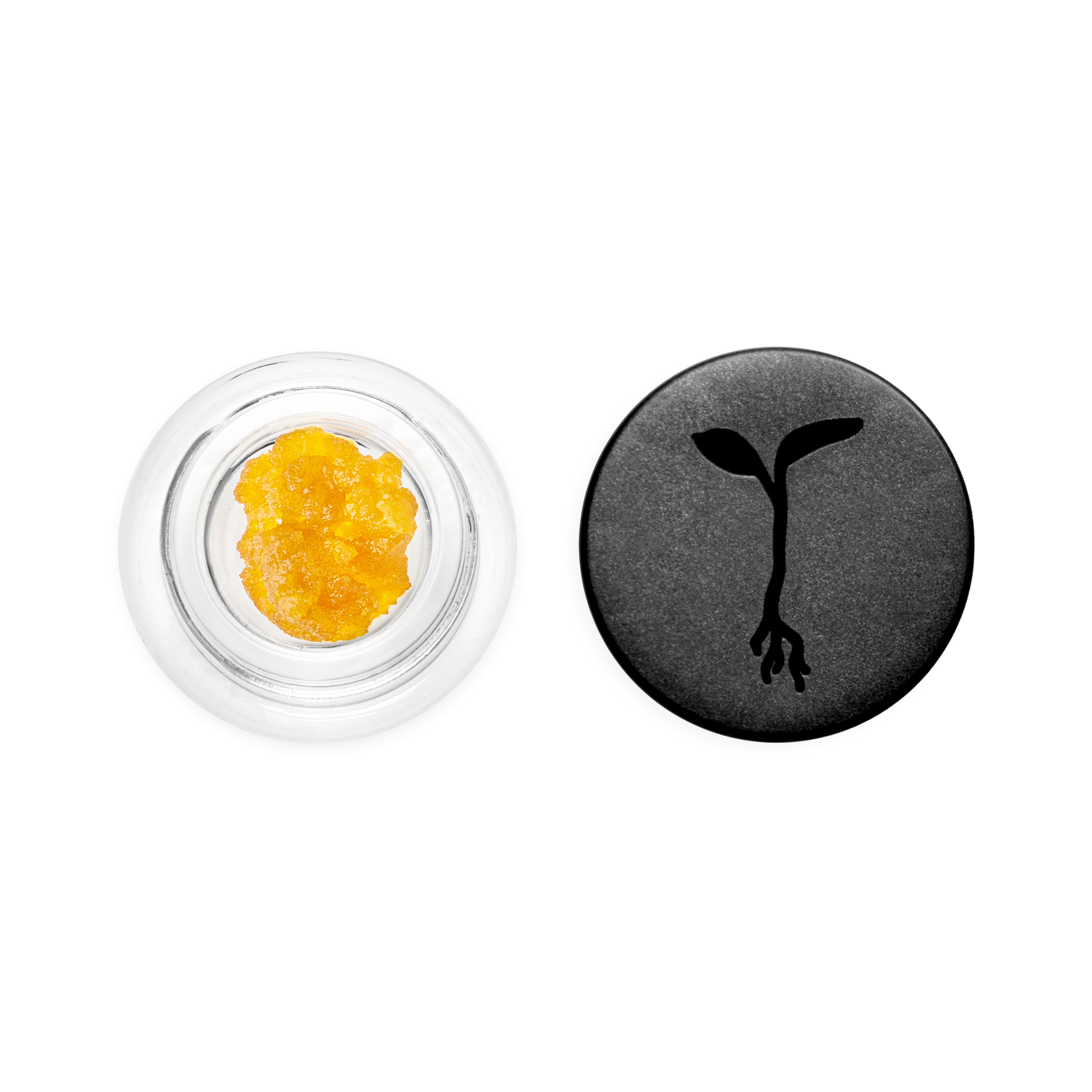 Raw Garden: Carbon Fiber