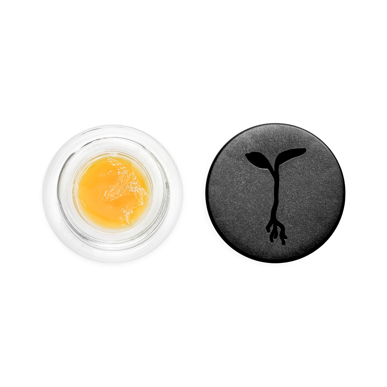 Raw Garden — Original Glue