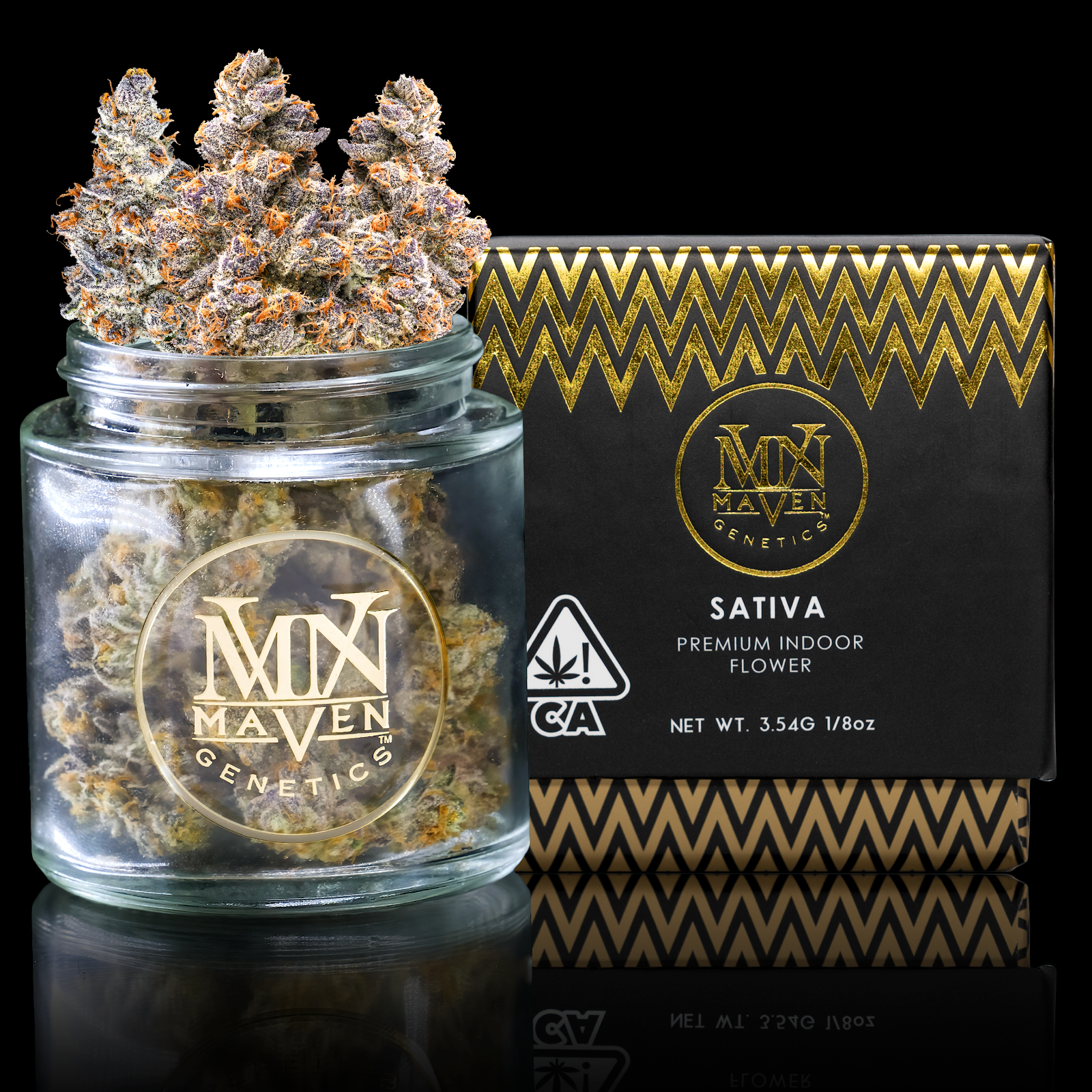 Maven Genetics — Orange