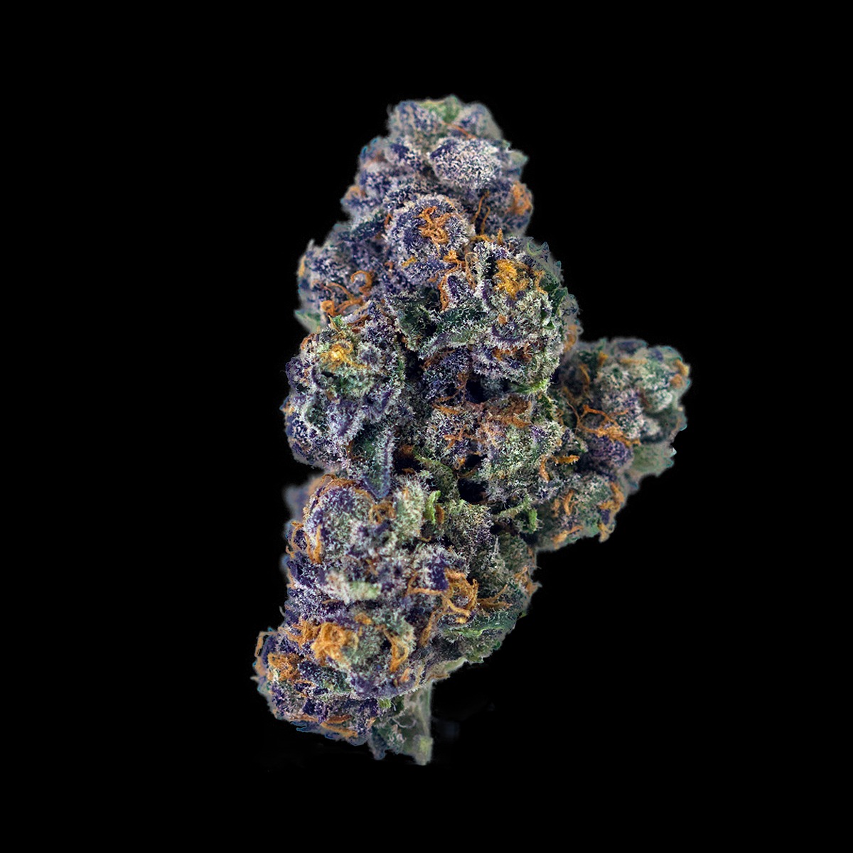 Ripped City: Pacific Purple