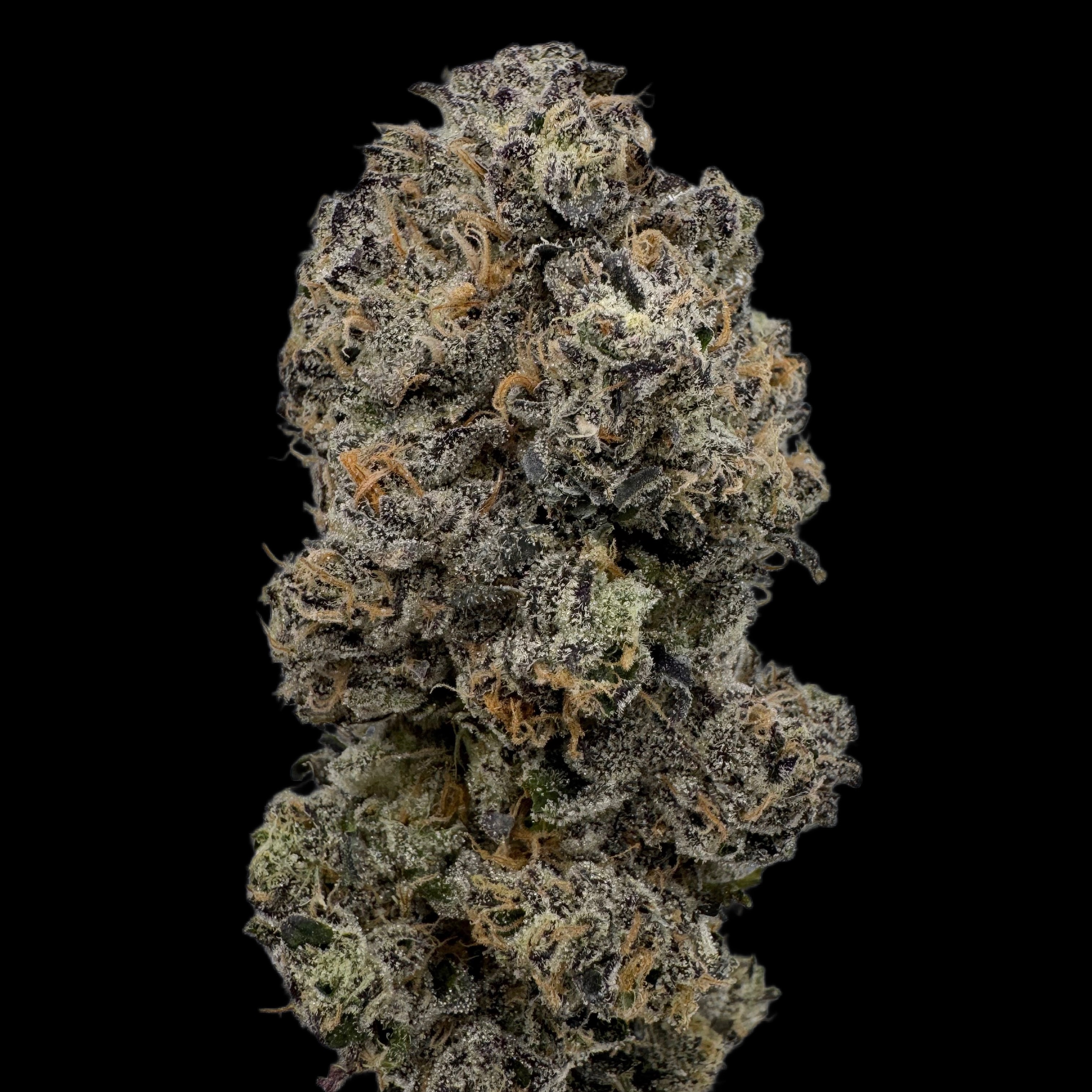 Urban Canna: Burger - Barn