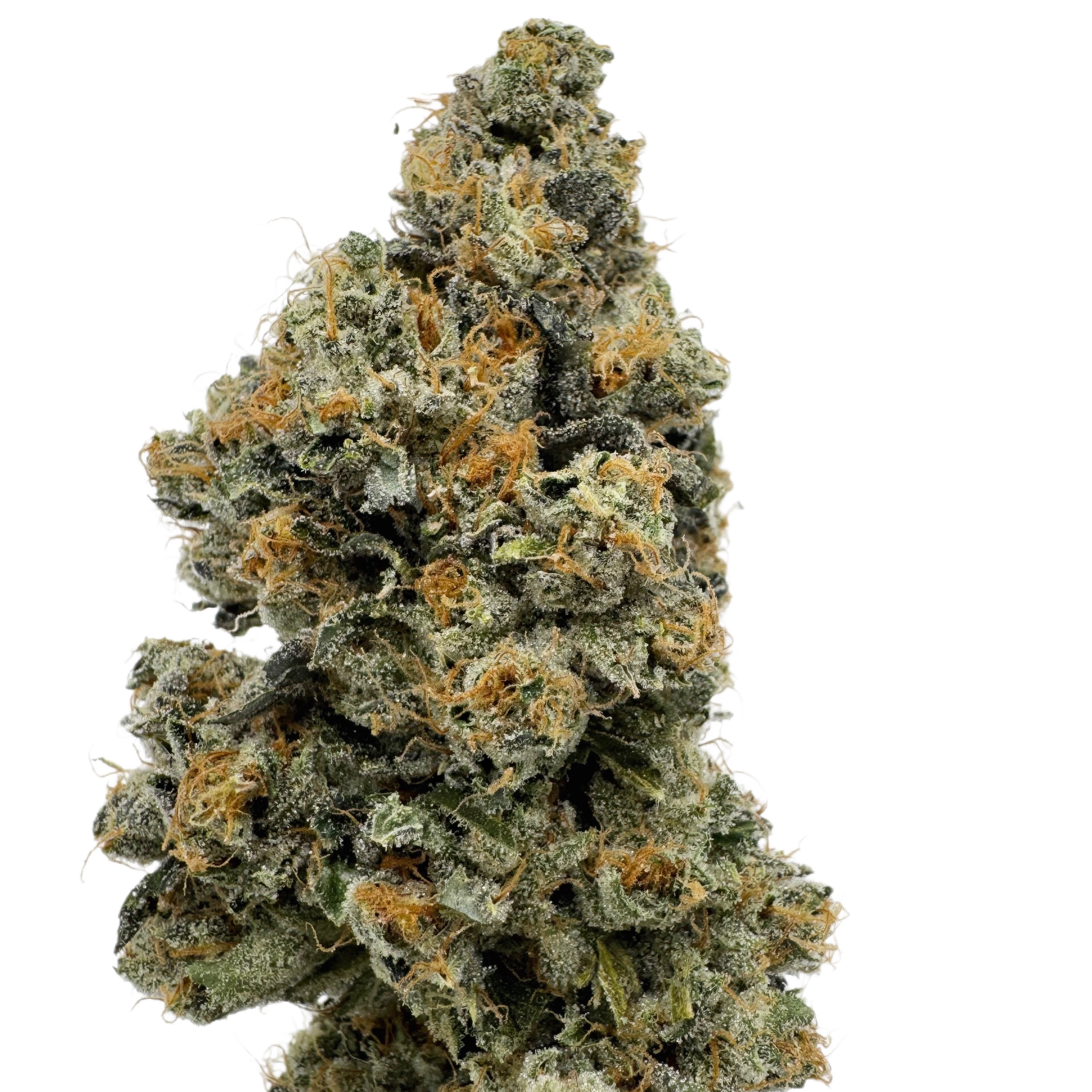 Urban Canna: Chem Dosi 91 B S