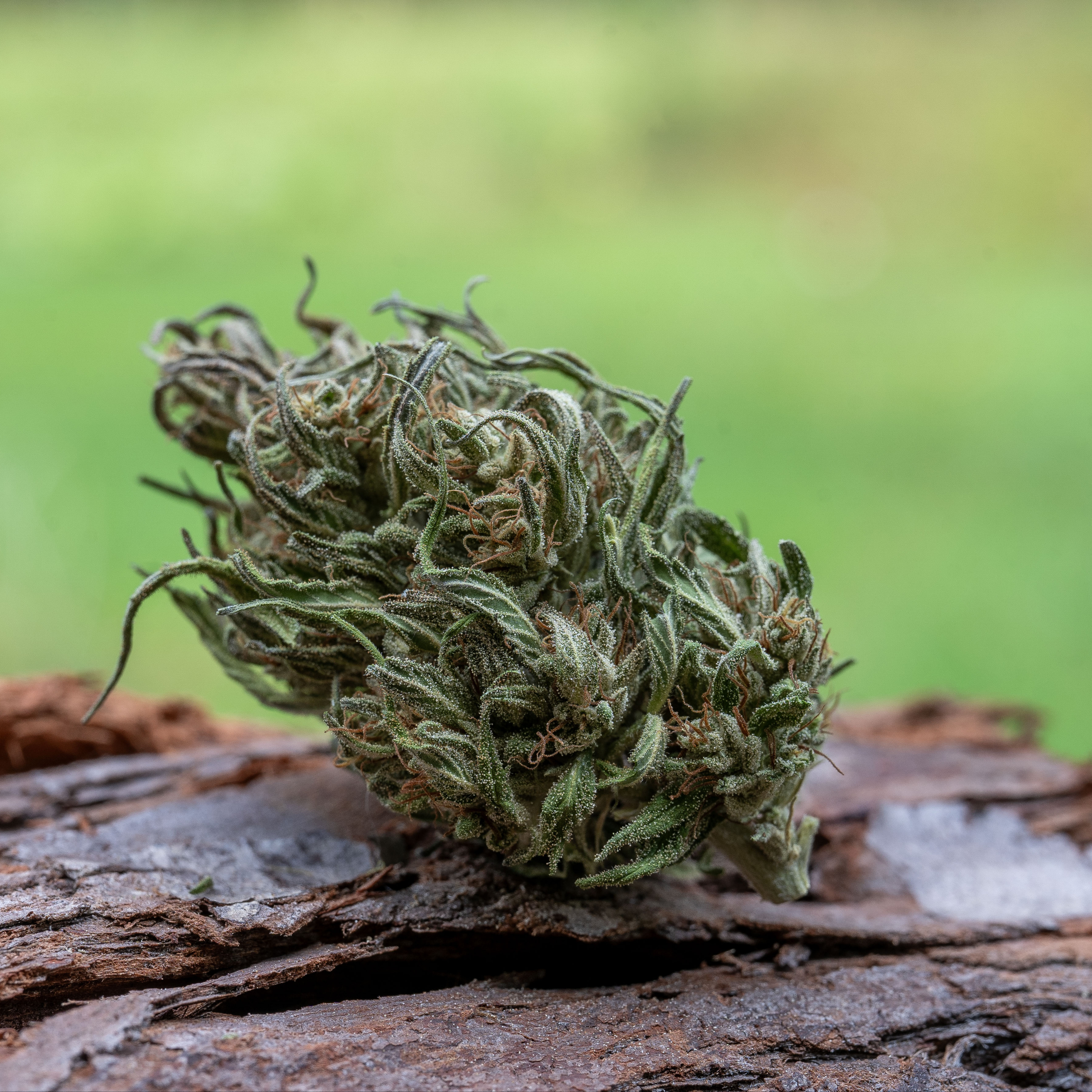 Farm Cut: Emerald OG