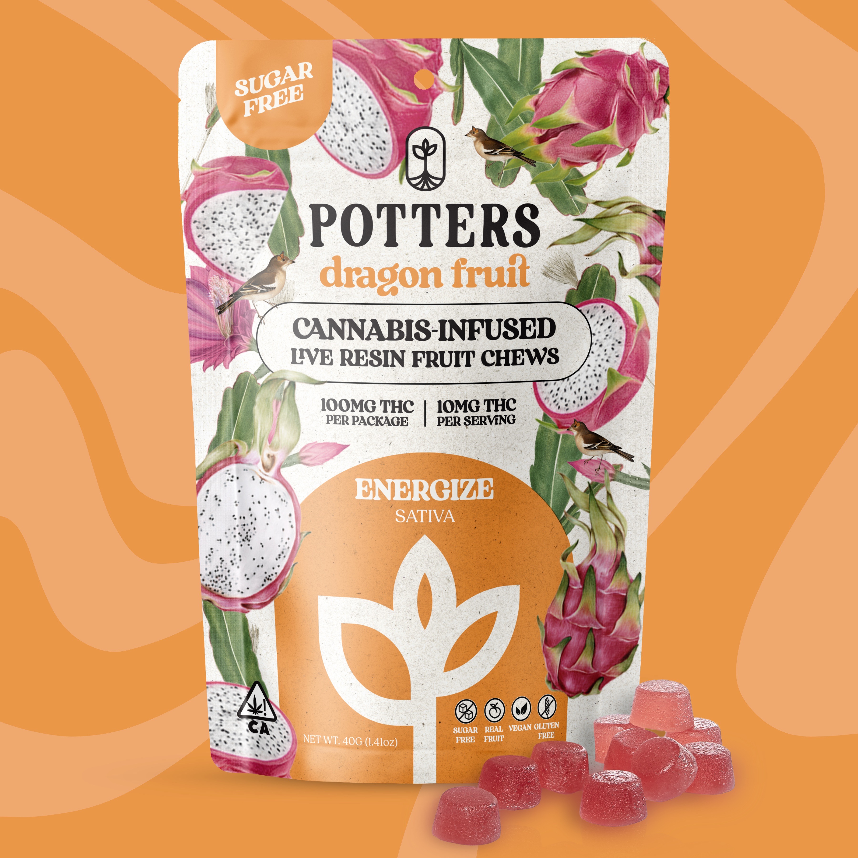 Potters: Dragon Fruit