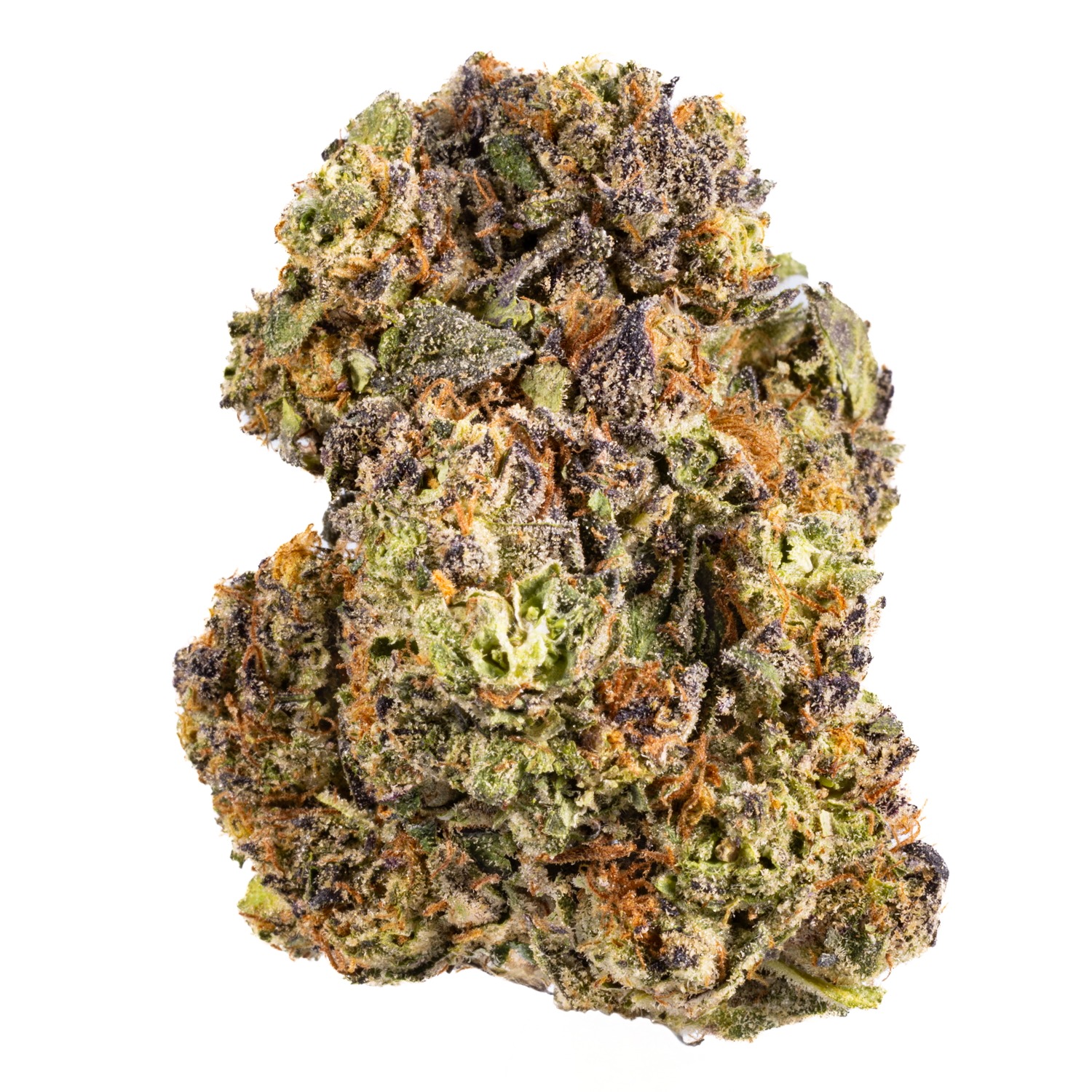 West Coast Cure: West Coast Cure