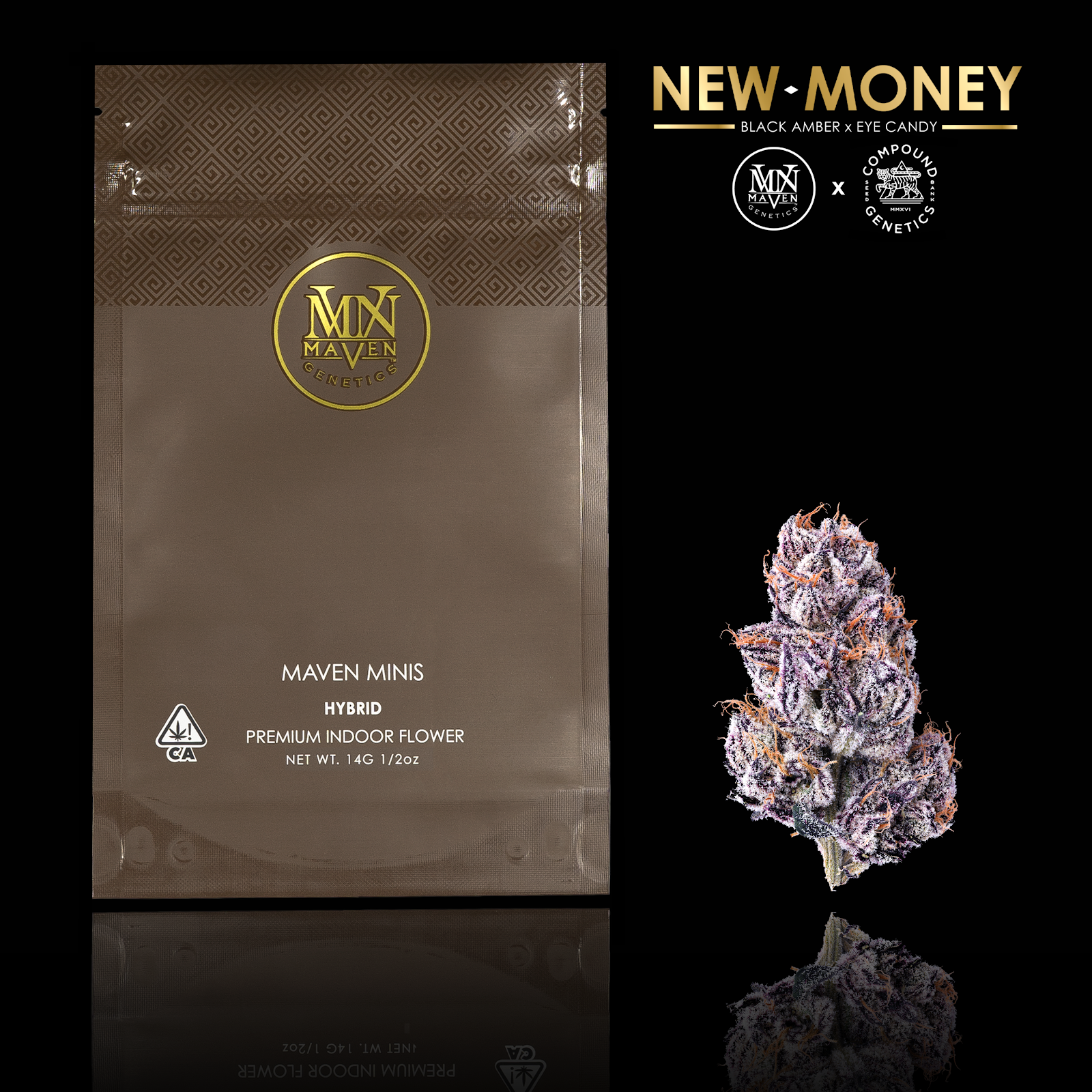 Maven Genetics: New Money