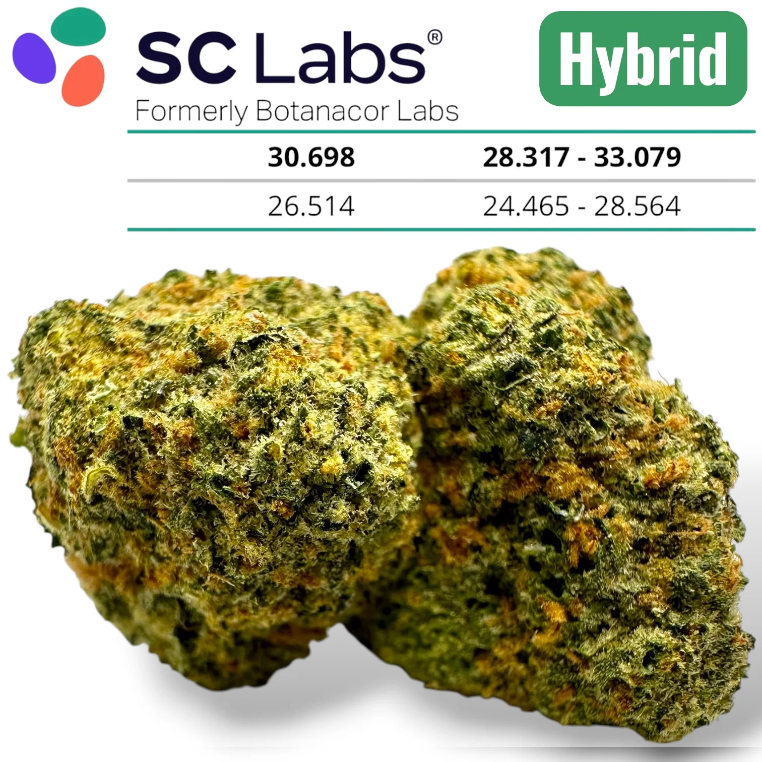 CRUMB DUMPSTER 🔥 EXOTIC THCA FLOWER HYBRID JUNGLE EXOTICS 😎 BLOWOUT SALE  👌 10G $56 OR 60G $300