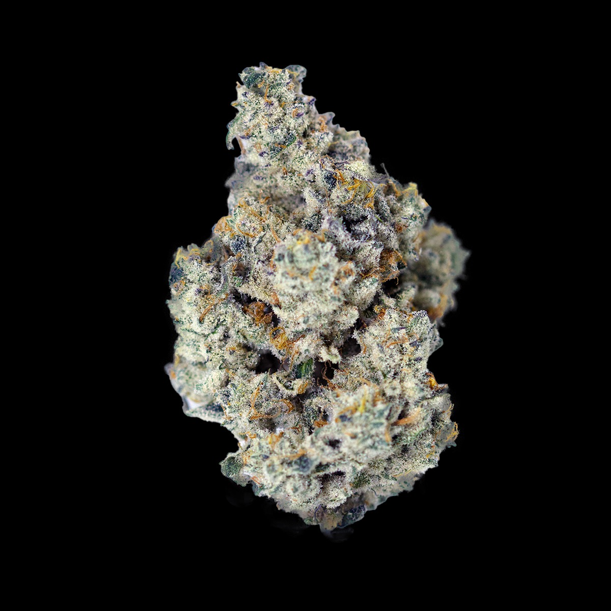 Ripped City: Frosted Alien