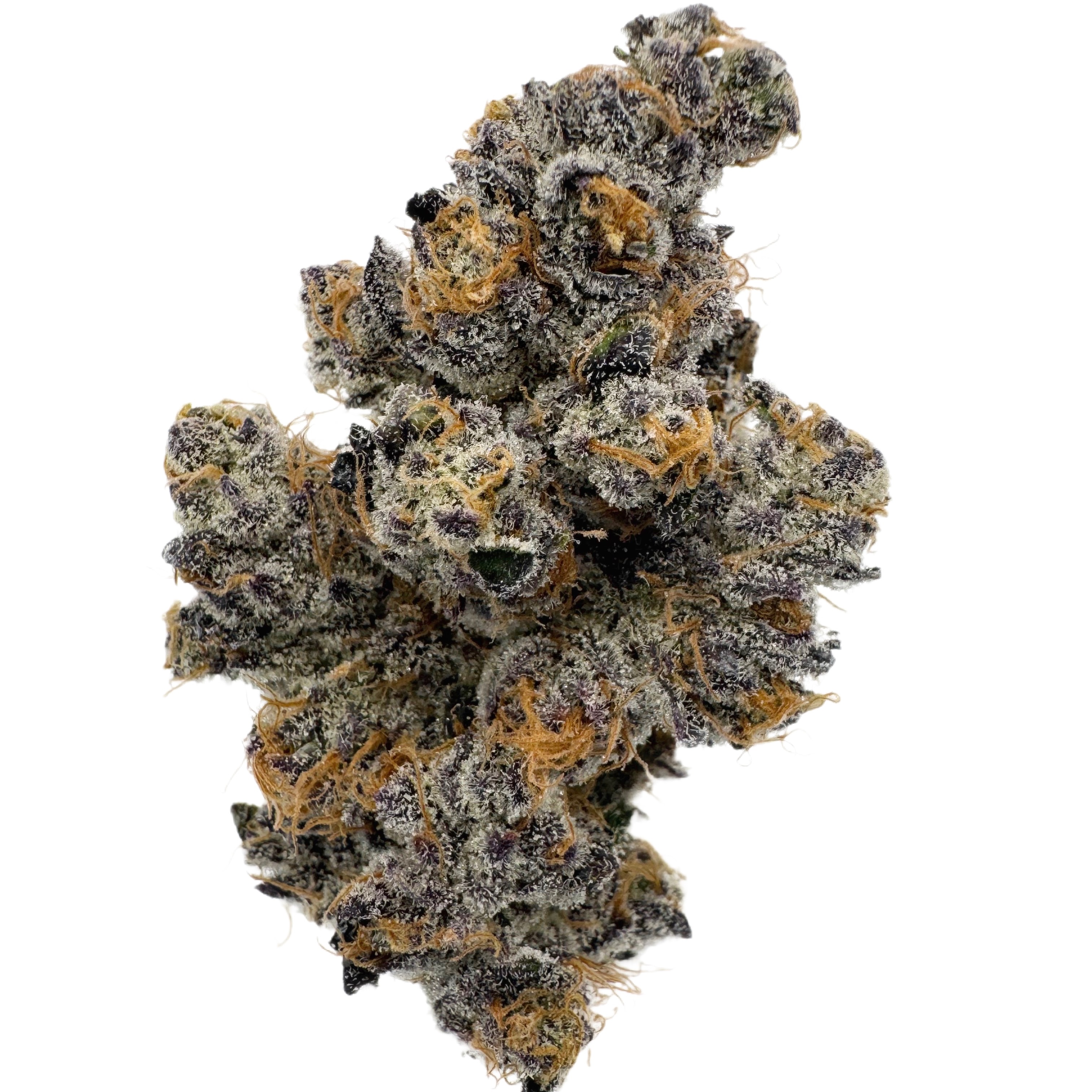 Urban Canna: Blue Inferno