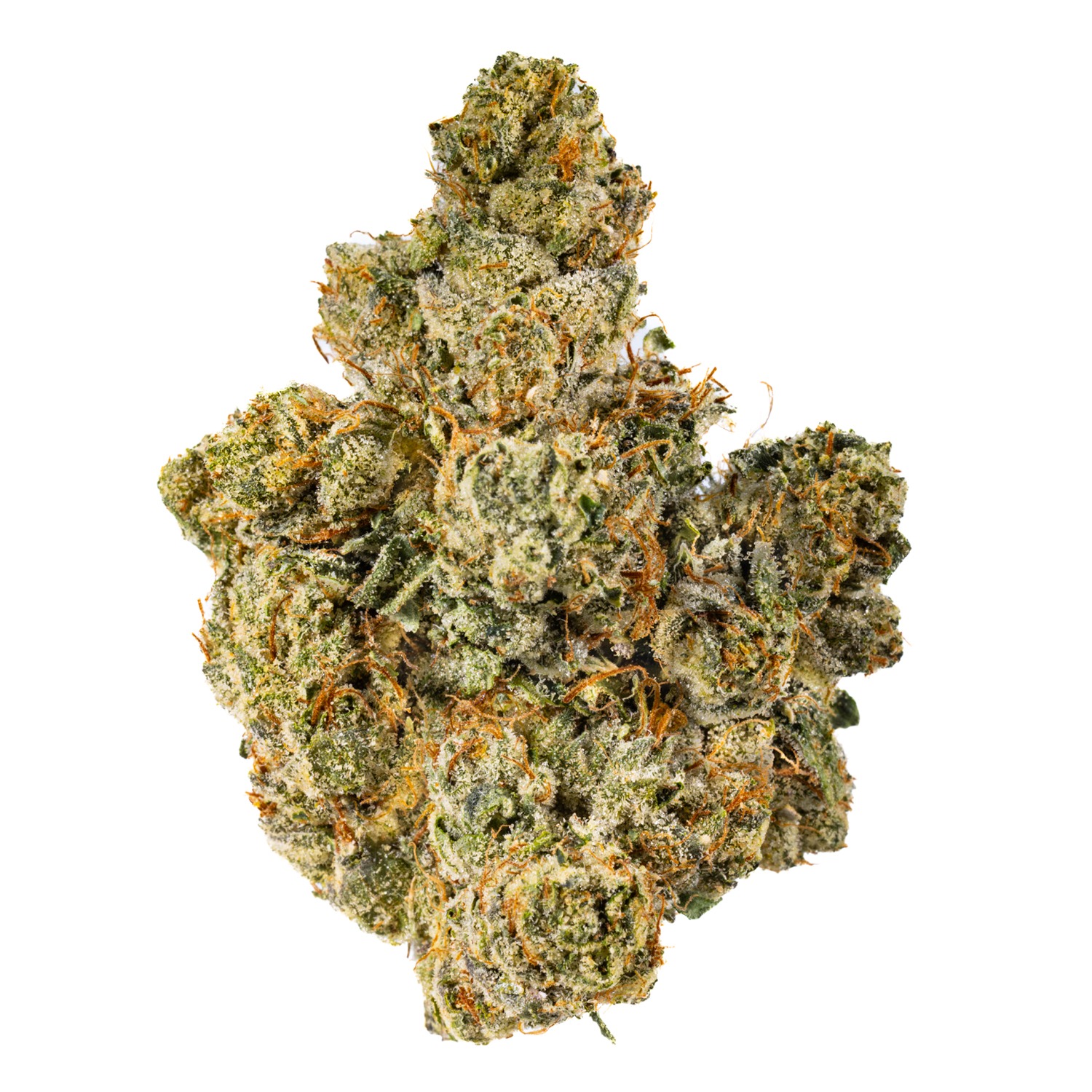 West Coast Cure: One-og - - West Coast Cure