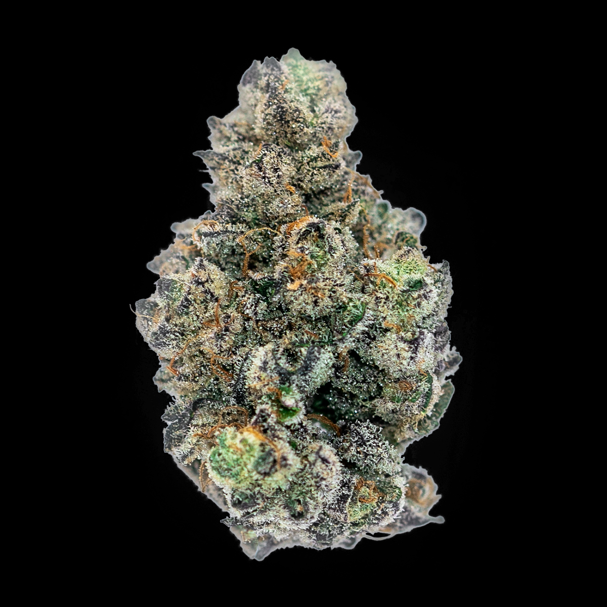 Ripped City: Grand Daddy OG