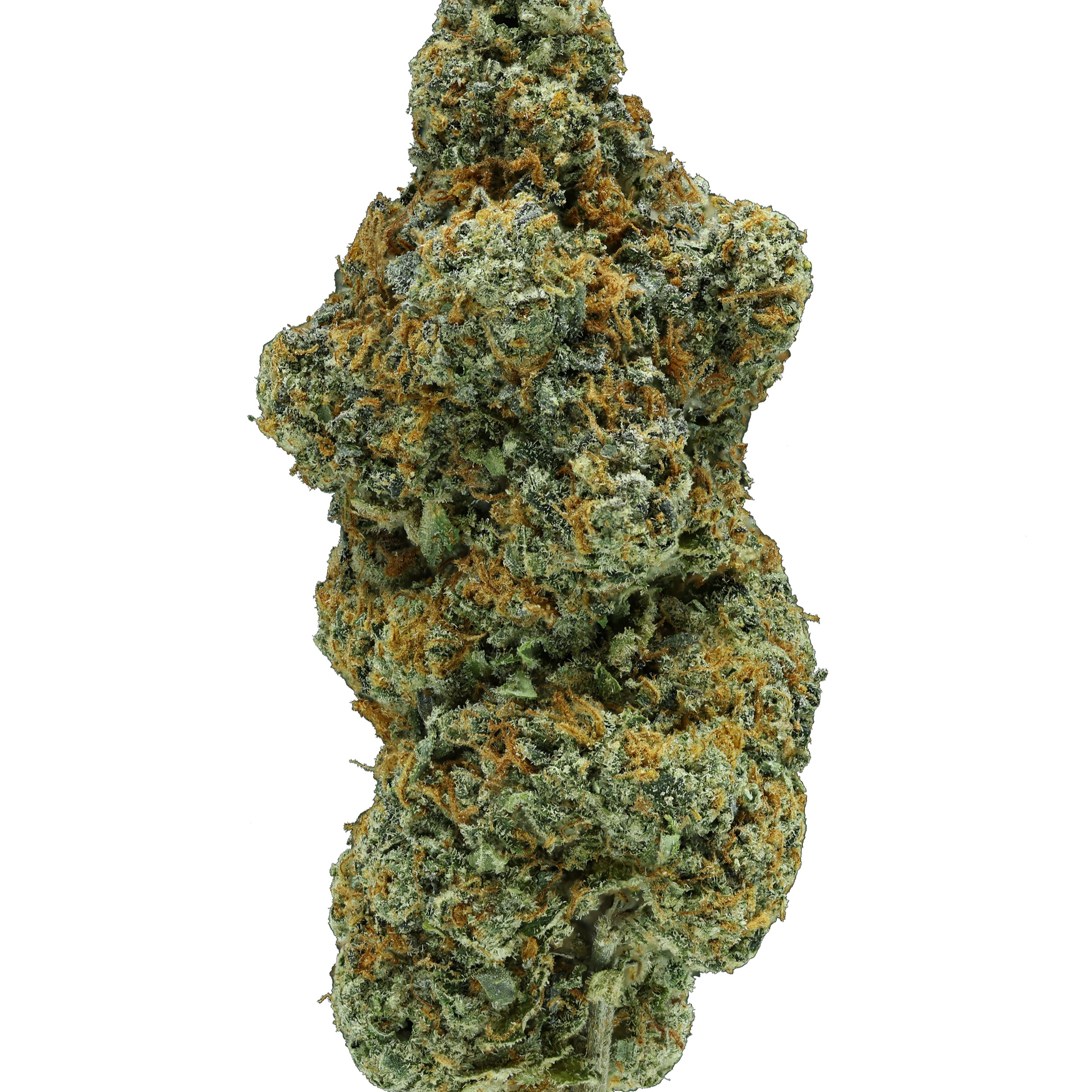 Hemp Hop: Gelato #41
