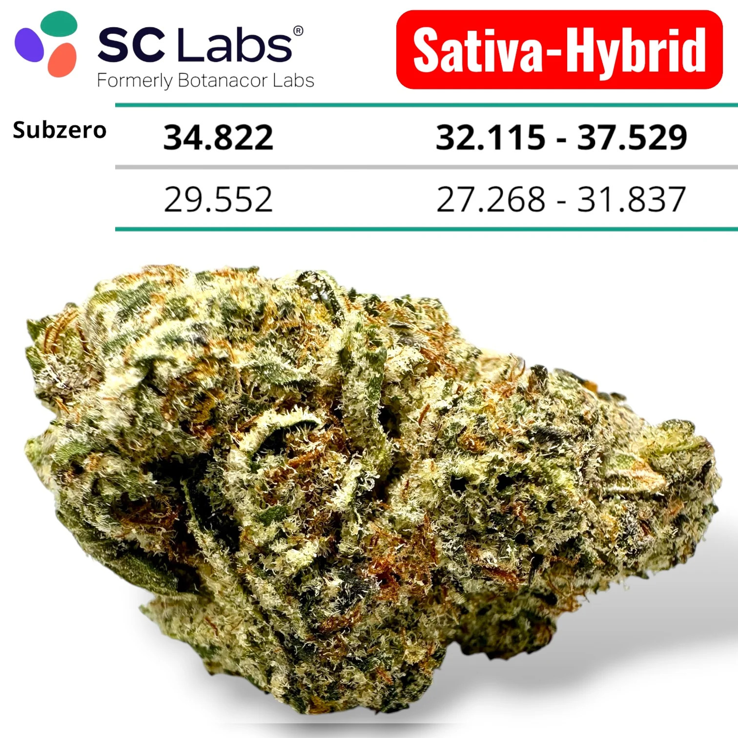 HASH BURGER AAA EXOTIC THCA FLOWER 10G ONLY $56  OR 60G $300 🔥 30+ NEW EXOTIC THCA STRAINS DROP