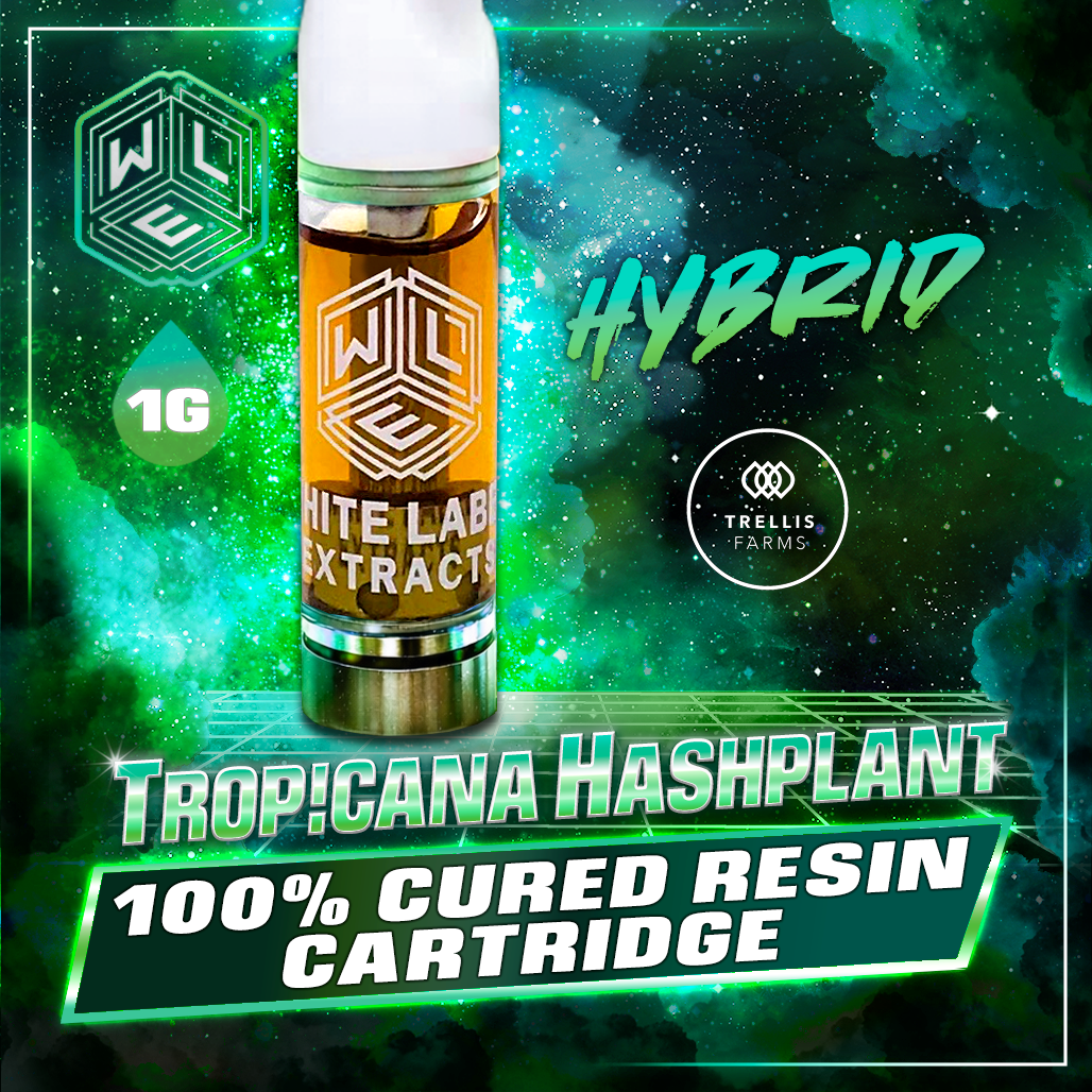 White Label Extracts: Tropicanna Hashplant