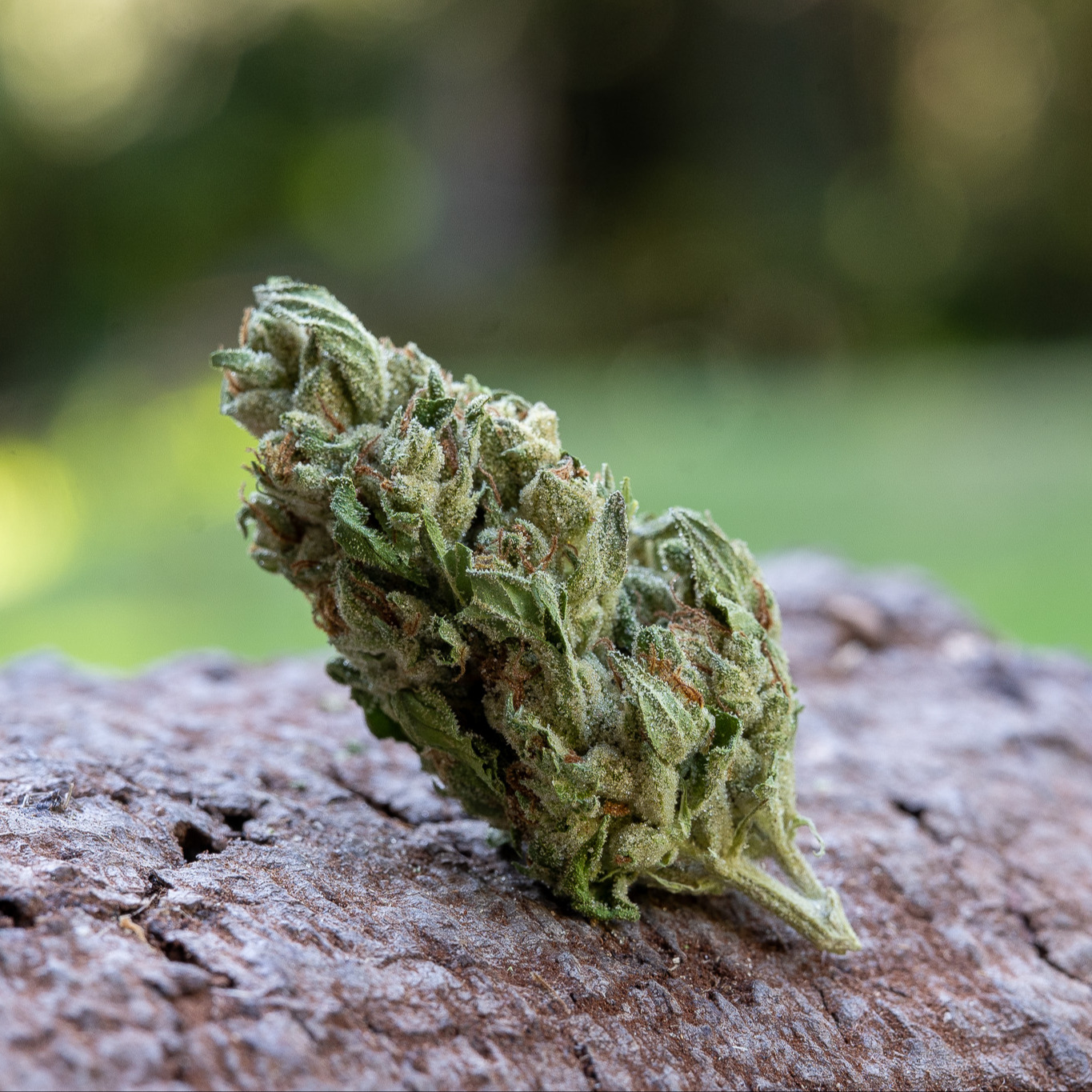 Farm Cut — Sour Peaches