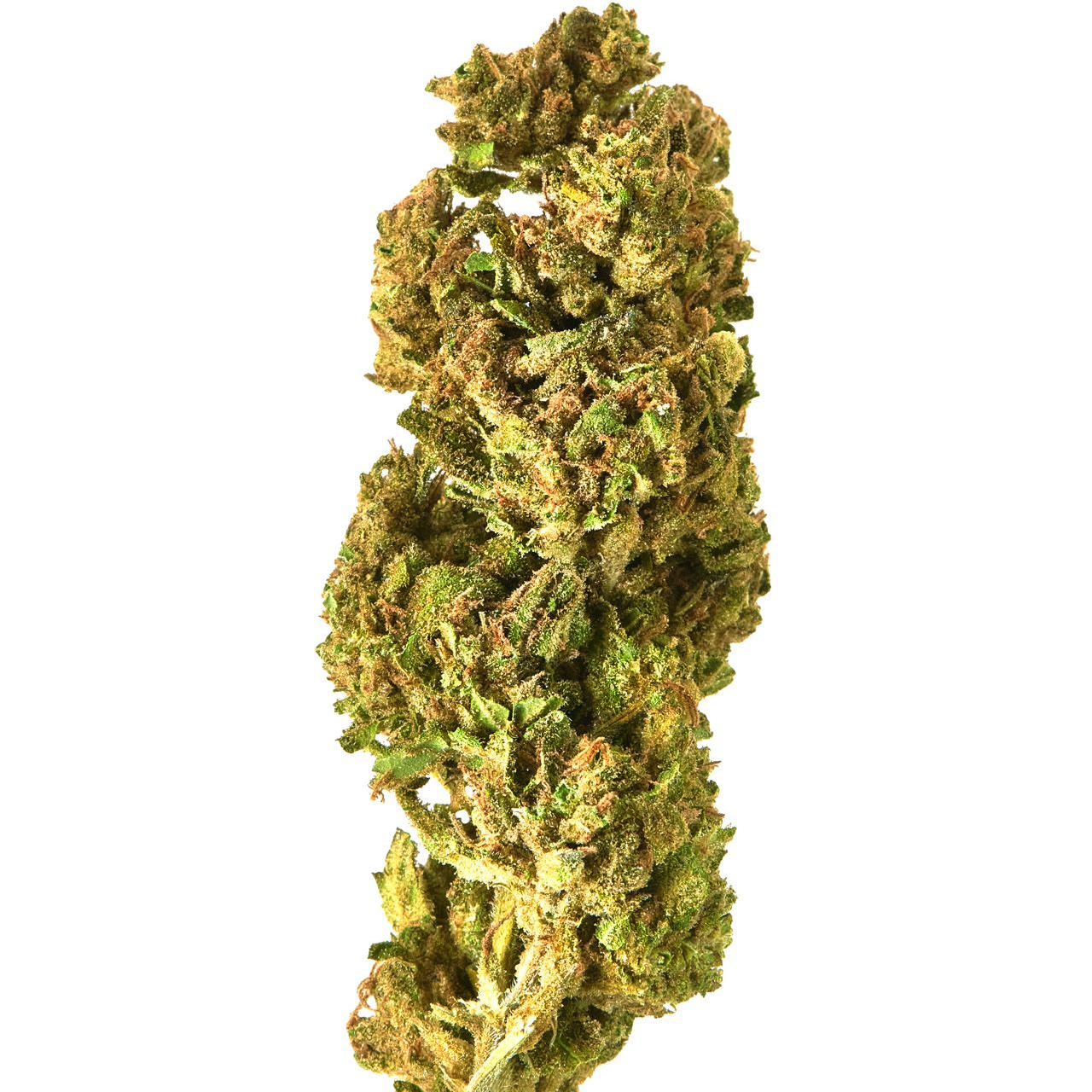 Self Made Cannabis Co. Self Made Farms Purple Octane x Jealousy Leafly