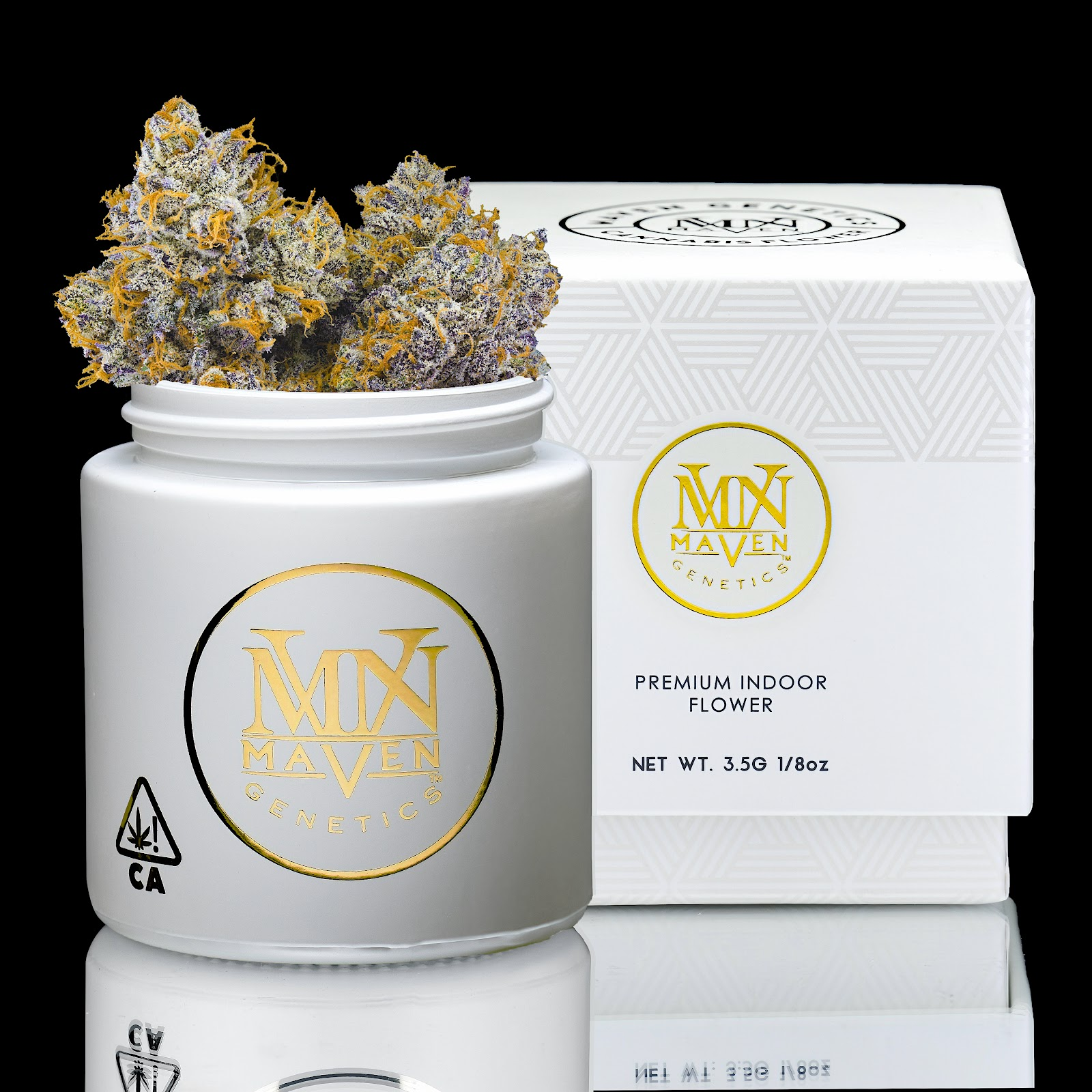 Maven Genetics: Orange Bellini