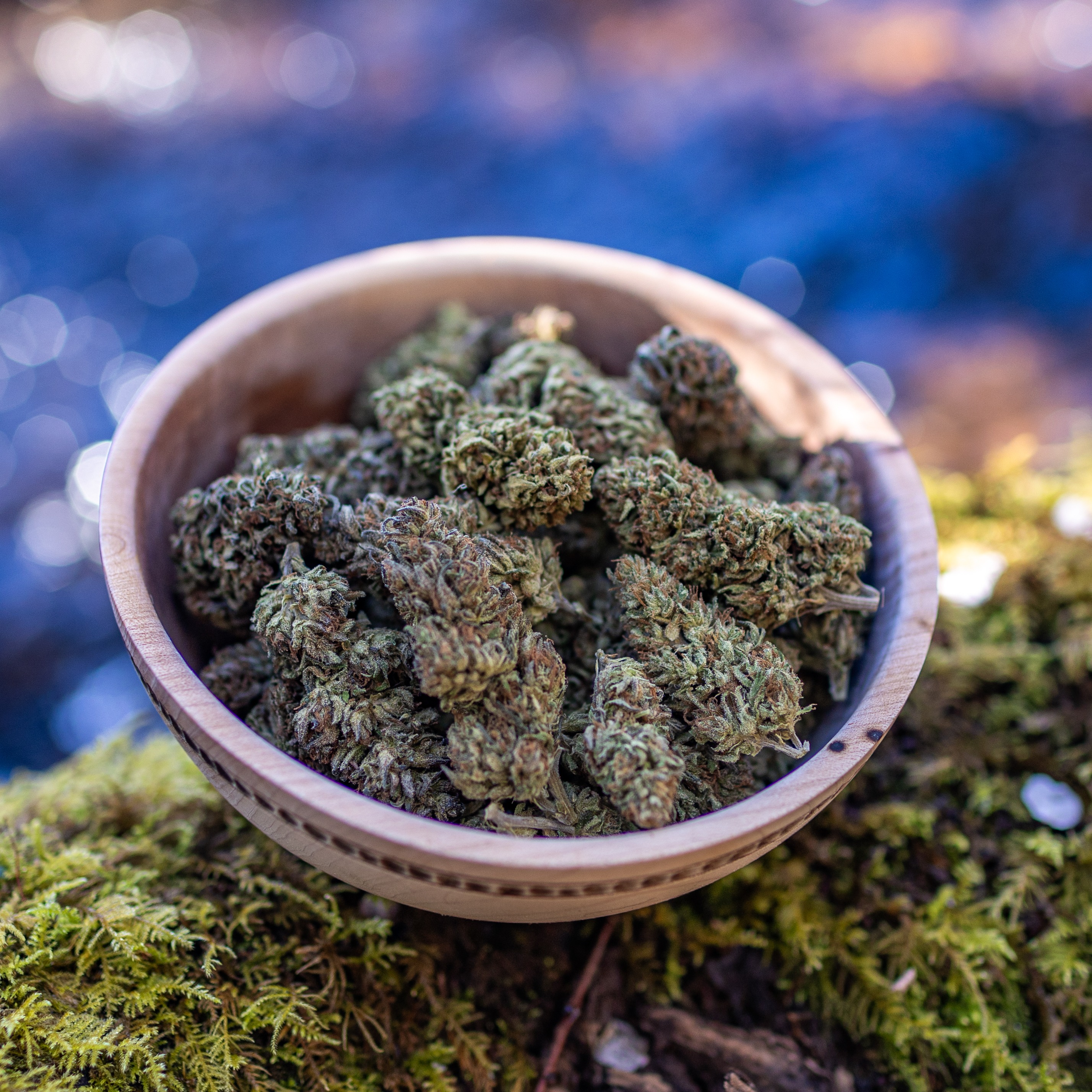 Simply Sol: Oz Kush