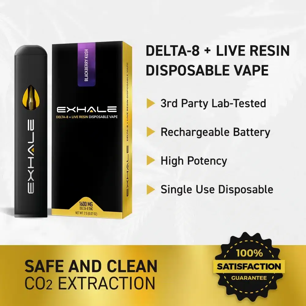 EXHALE WELLNESS: Exhale Wellness - Delta 8 THC Live Resin Disposable -  Pineapple Express (2g)