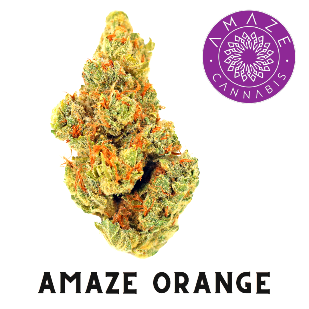 .5g | Amaze Orange
