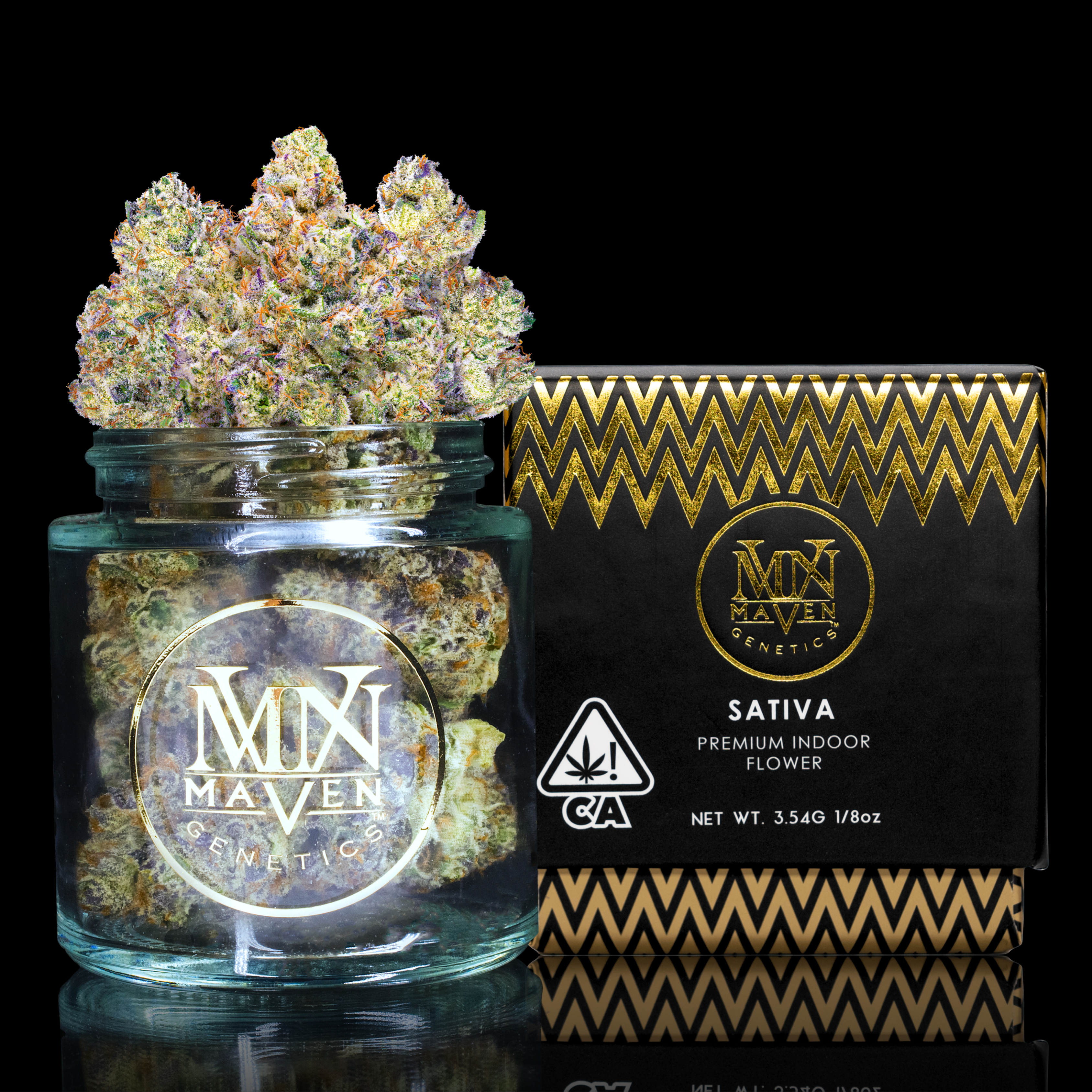 Maven Genetics — Biscotti