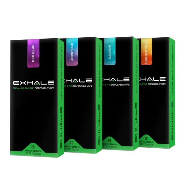 EXHALE WELLNESS Exhale Wellness Variety Pack THCa + Delta 8 THC Disposable Vapes (4) 2g