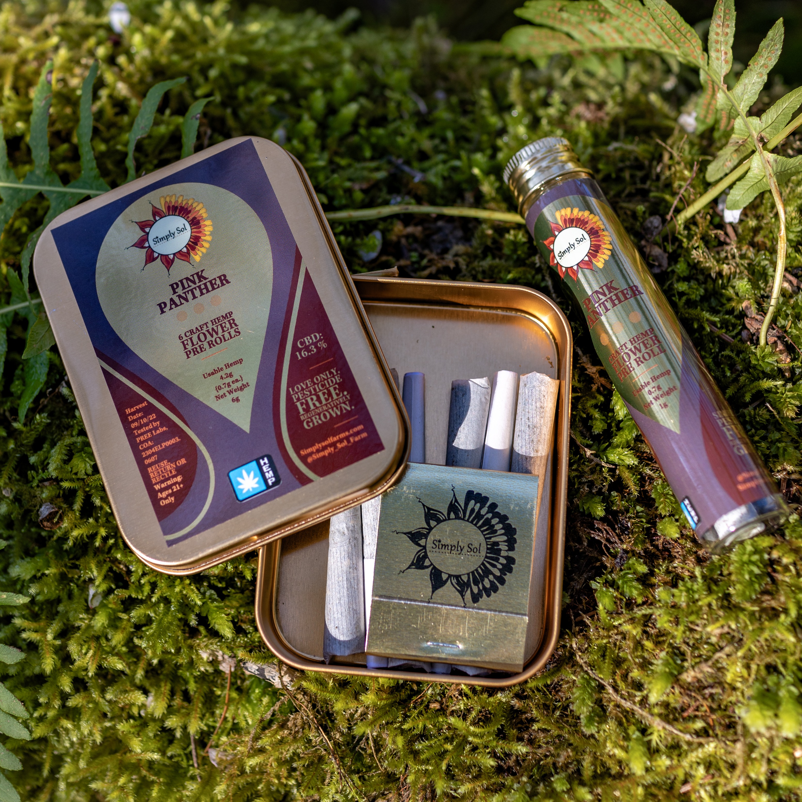 Simply Sol: Pina - Simply Sol Bud