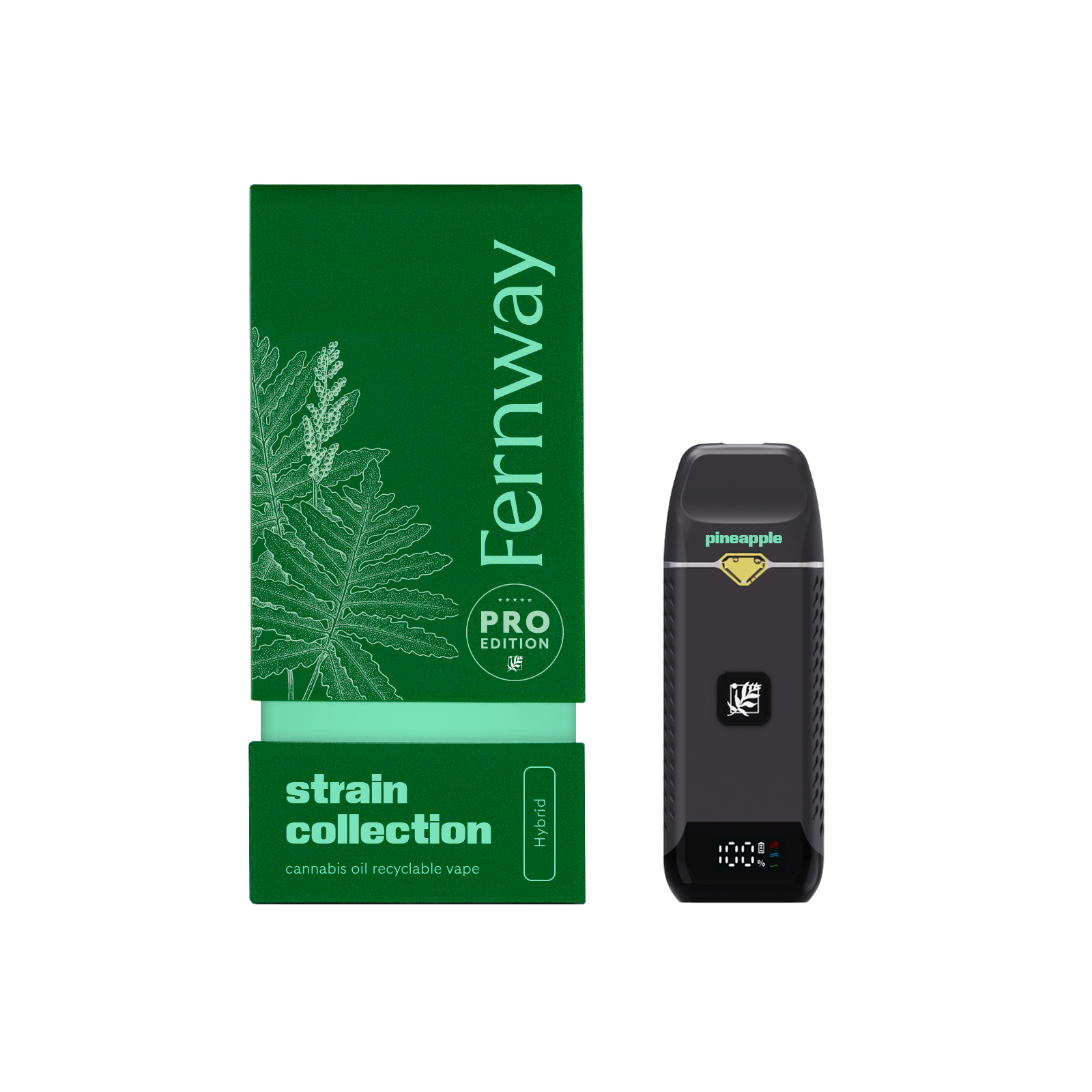 PINEAPPLE EXPRESS - FERNWAY - TRAVELER PRO - AIO - 1G