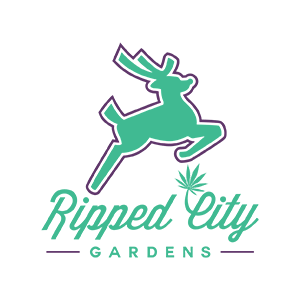 Ripped City