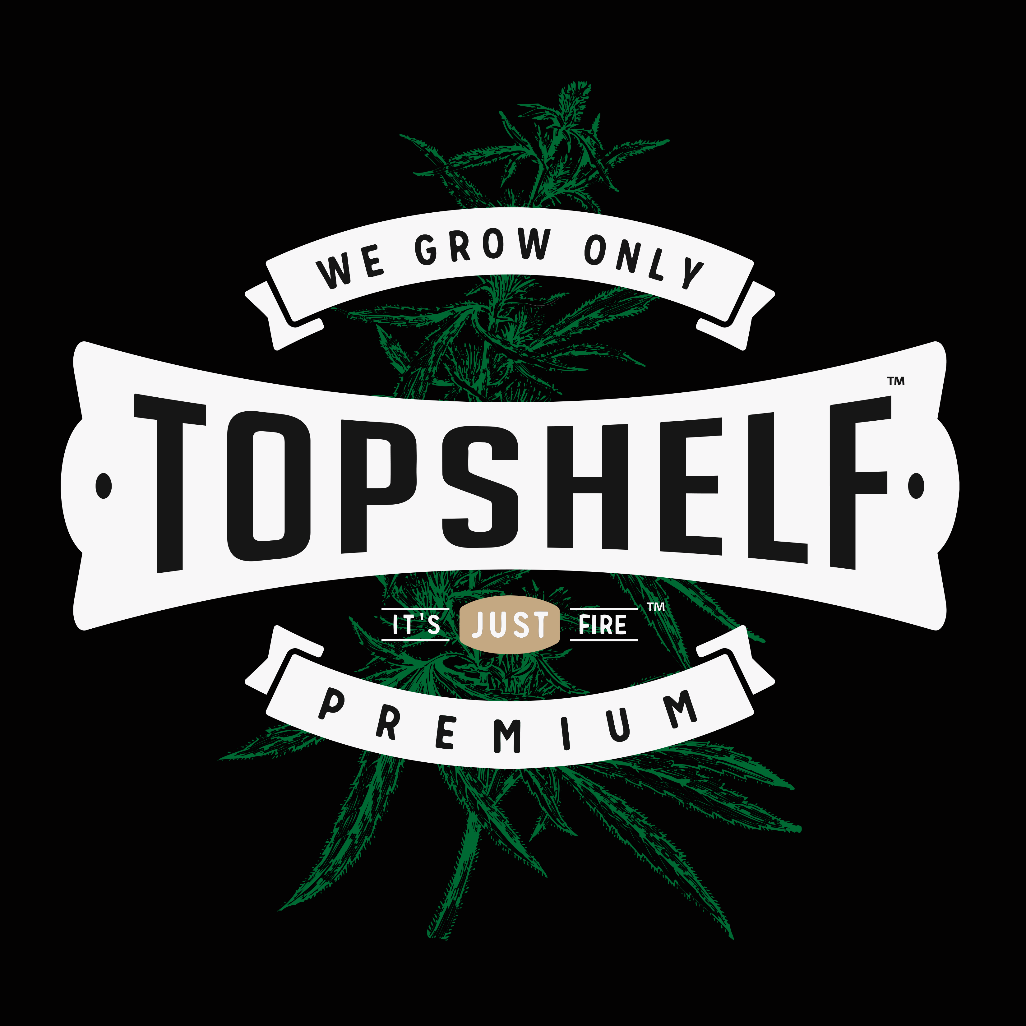 Topshelf