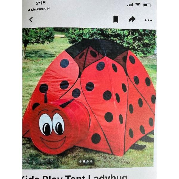 Borrow Ladybird tent and tunnel 1224months only