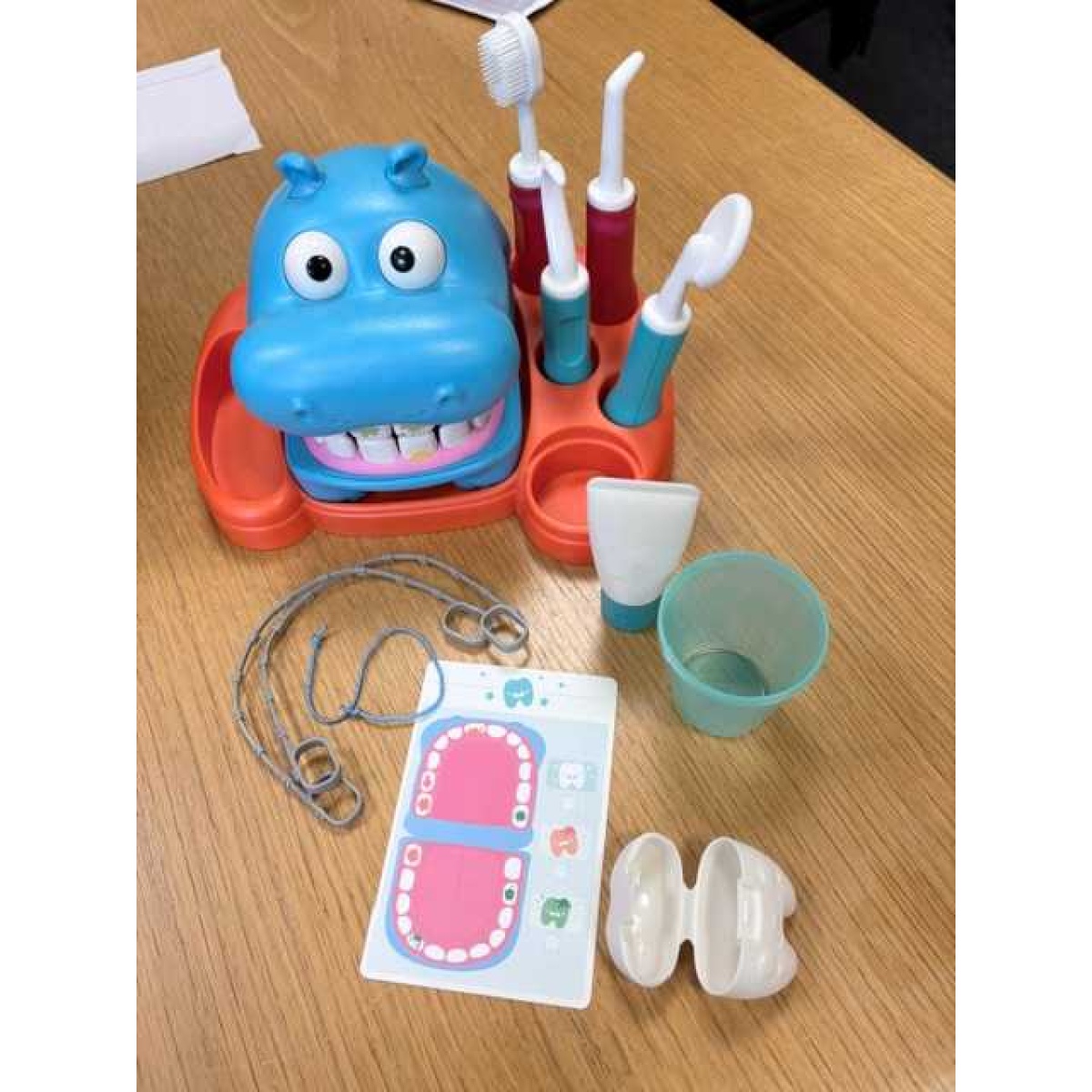 Hippodontist Colour-Changing Dentist Playset