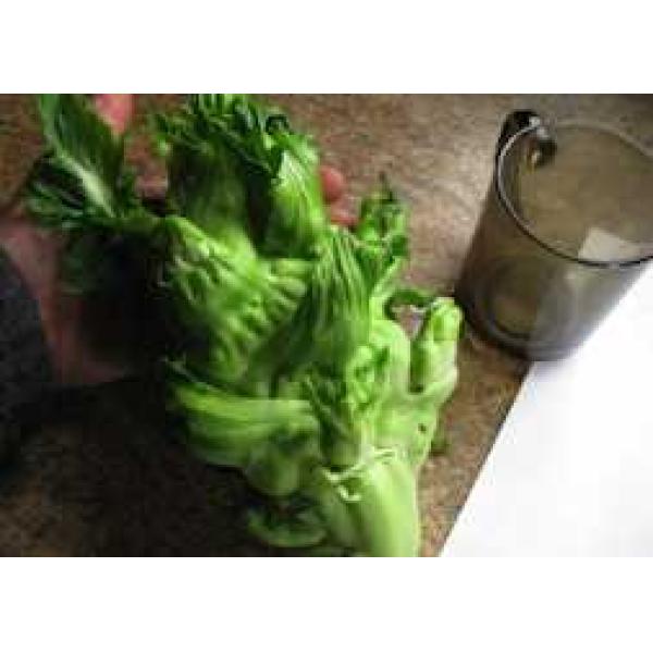 Wa Wa Cai Choi Stem Vegetable