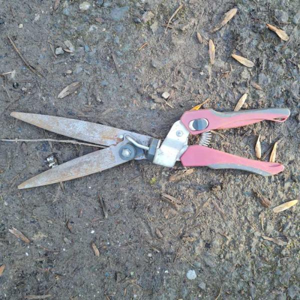 Single Hand Shears