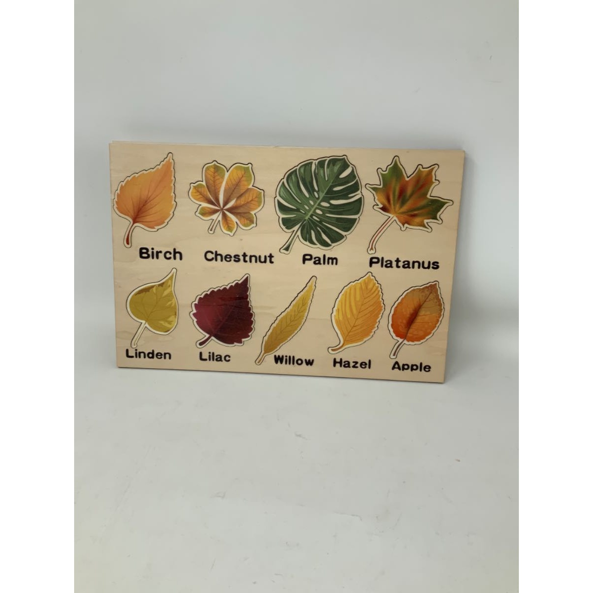 Inlay Puzzle: Autumn Leaves