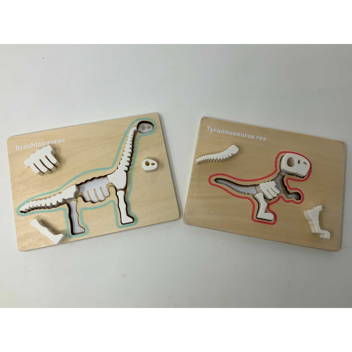 Dinosaurs Bones & Body Parts