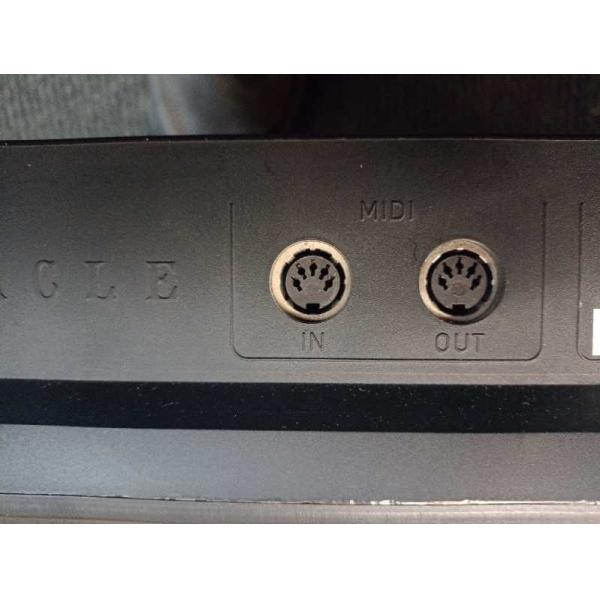 Borrow Velocity Sensitive MIDI Keyboard / Piano