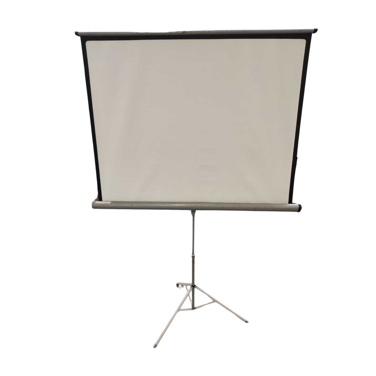 Projector Screen