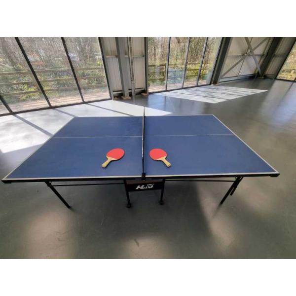 Borrow Table Tennis No.1