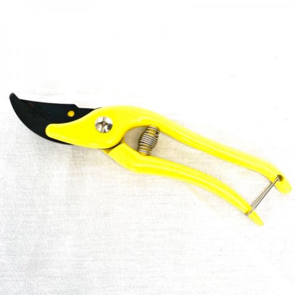 Secateurs (2)