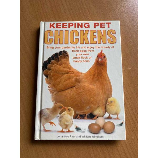 Keeping Pet Chickens