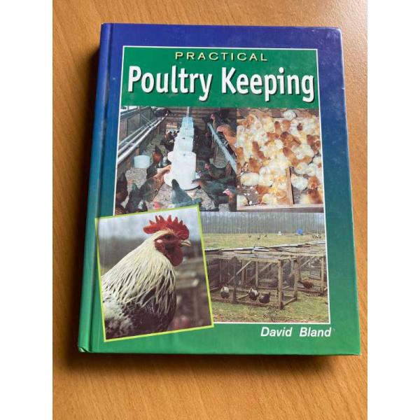 Practical Poultry Keeping