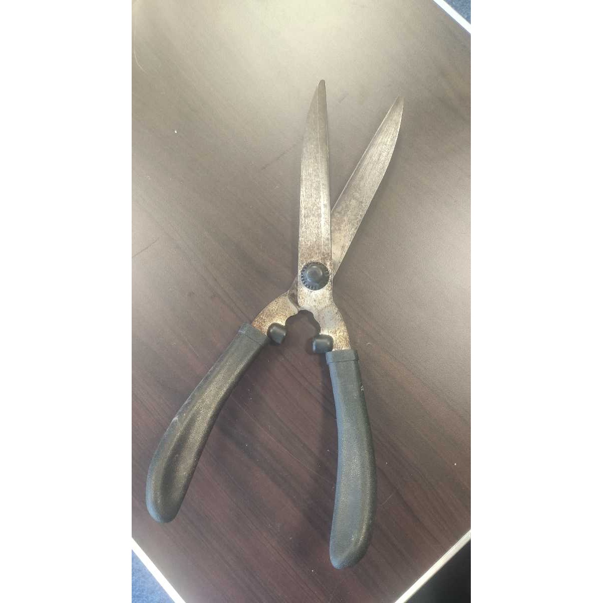 Hedge Shears