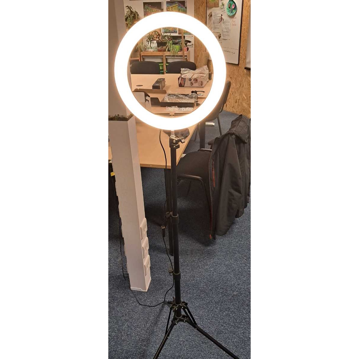 Tripod and ring light 2