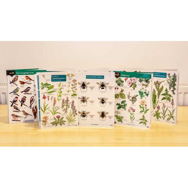 Field Studies Council Fold-out Guides Set