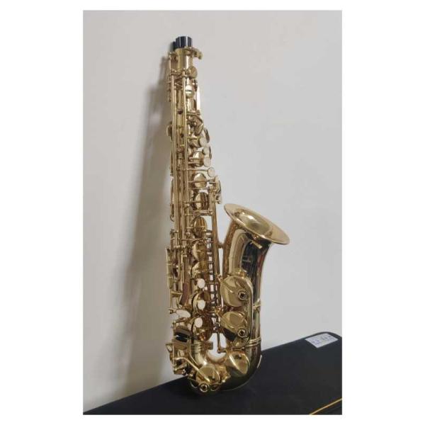 Saxaphone, Elkhart 100AS, Alto Sax