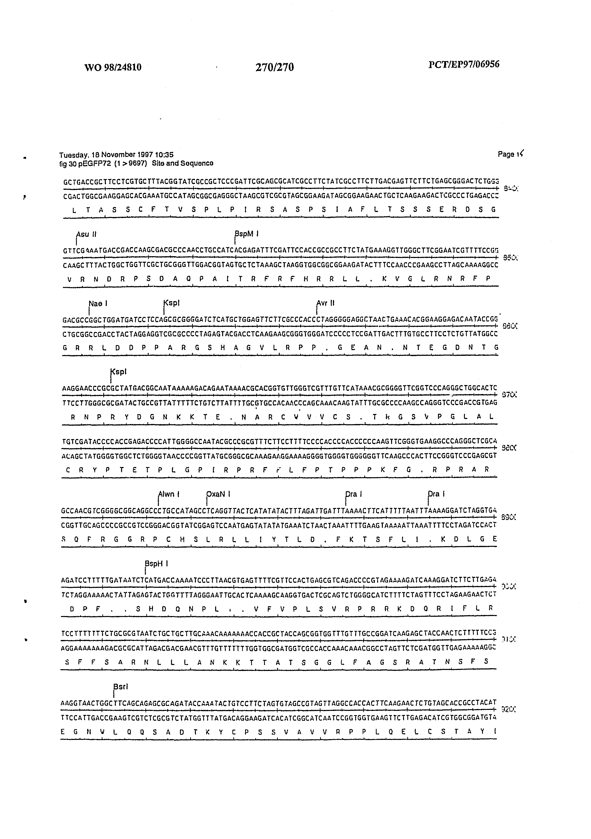 AU 1998/056622 A - Vertebrate Homologues Of Unc-53 Protein Of C