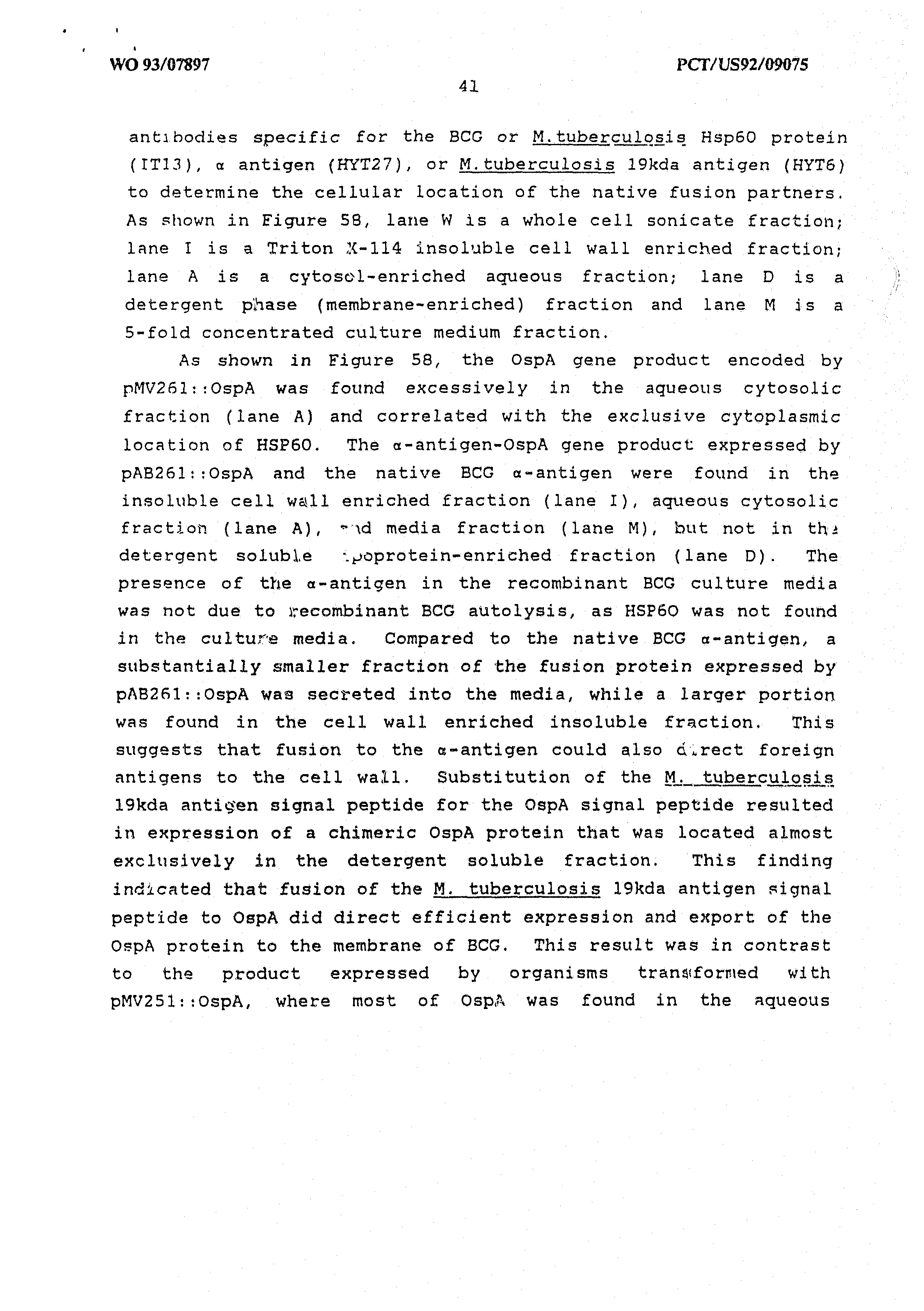 Essay For Capital Punishment Au B Bacterial Expression Vectors Containing Dna Page Public School Vs Private School Essay also Romeo And Juliet Literary Analysis Essay Antigone Tragic Hero Essay Antigones Tragic Flaw Also Known As The Job Application Essay