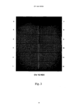 patent lens
